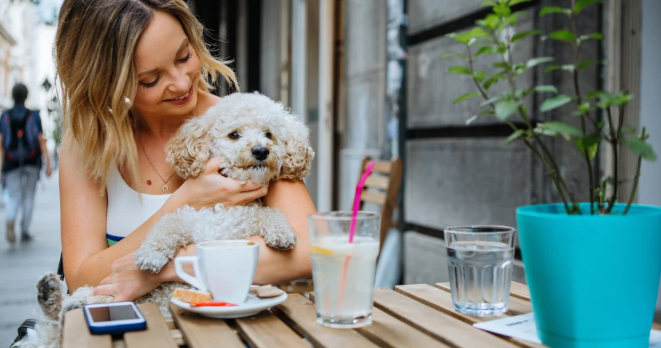 Pet-Friendly Cafés and Parks in Kuwait