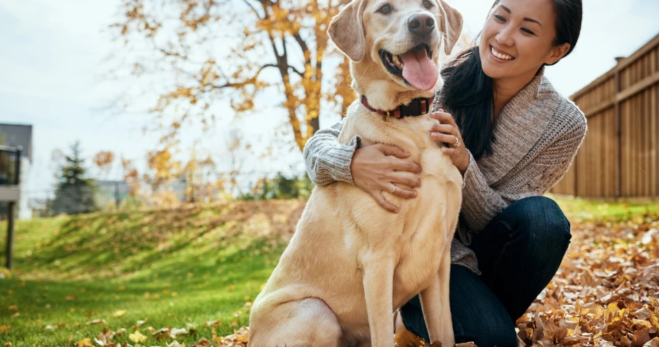 Pet-Friendly Cafés and Parks in Kuwait